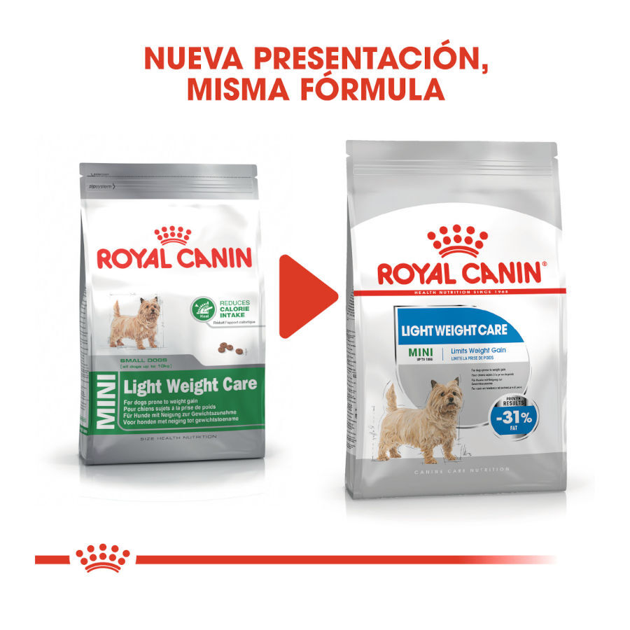 8 kg Royal Canin Mini Light Weight Care pienso para perros, , large Imagen numero 3